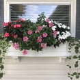 thumbnail image 3 of Pemberly Row 4ft Weatherproof Traditional Plastic Window Box in White, 3 of 7