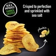 thumbnail image 5 of TERRA Plantain Vegetable Chips, Sea Salt, 5 oz., 5 of 7