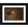 thumbnail image 1 of Chang, Phillip 32x23 Black Ornate Wood Framed with Double Matting Museum Art Print Titled - Lion King, 1 of 4