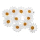 thumbnail image 5 of 10pcs pinzas para el cabello lindas margaritas girasol pernos de pelo pernos de pelo fresco para damas y niñas (blanco), 5 of 6