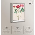 thumbnail image 3 of Art Remedy Botanical Prints Canvas, 30" x 45", Silver Frame, Anemone (1596-1610) by Anselmus, 3 of 7
