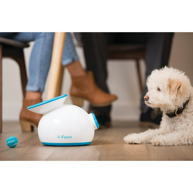 Ifetch ball cheap launcher