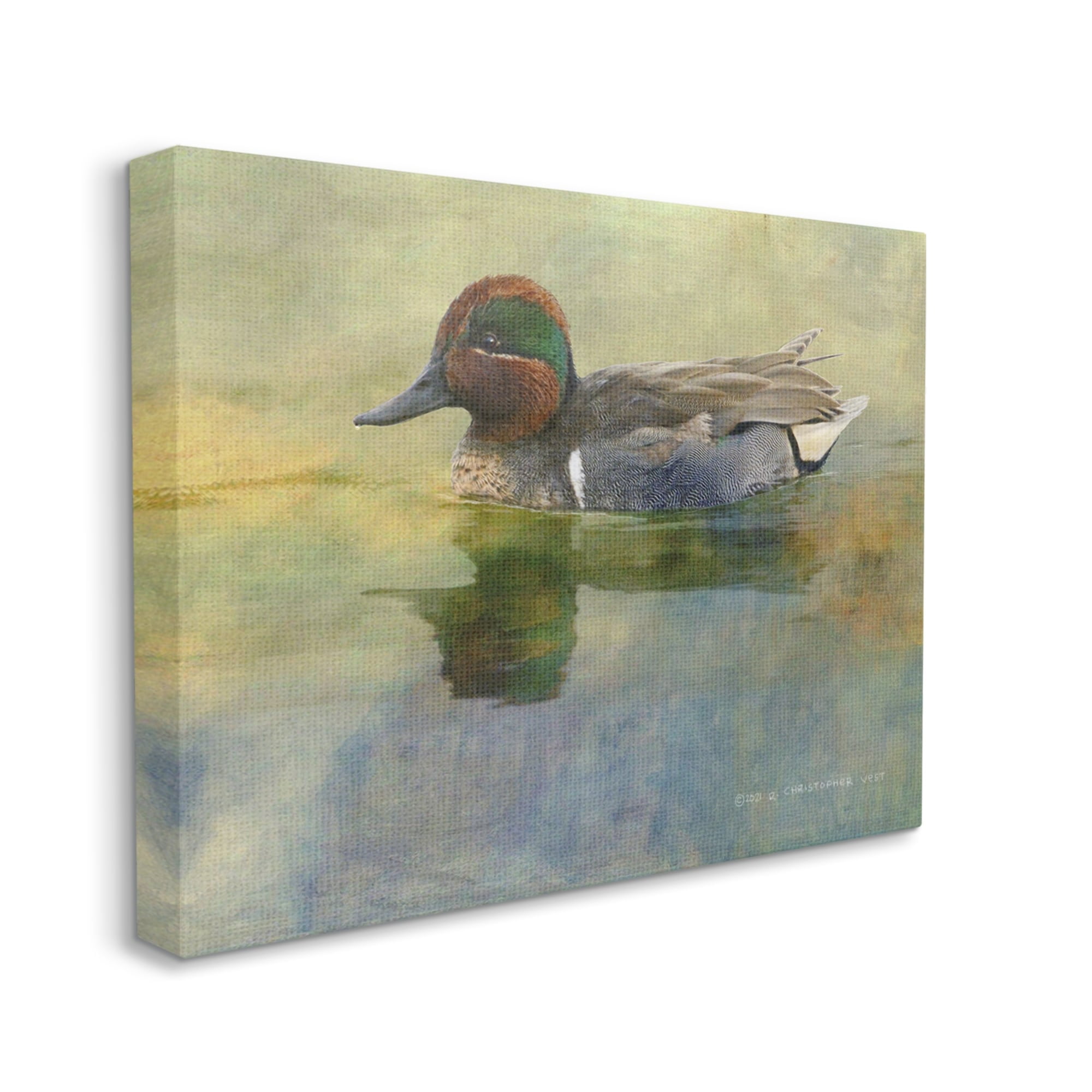 Stupell Wild Duck Nature Pond Wildlife Animals & Insects Photography Gallery Wrapped Canvas Print Wall Art