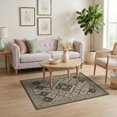 thumbnail image 3 of ODIKA 4'x6' Washable Area Rug Vintage Boho Banded Border Faded Detail Distressed Scroll Oushak Flowing Dynamic for Bedroom, Reading Nook, Pet Friendly & Non-Shedding, 3 of 7