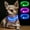 XS- Blue(40cm), variant on Minzimin Light Up Dog Collar, Rechargeable LED Puppy Collar Glowing Pet Collar TPU Cuttable Dog Lighted Collar for Small Dogs (No USB)