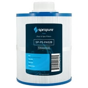 SpiroPure SP-PS-PAS28 Hot Tub Pool Spa Water Filter Cartridge, (4 Pack)