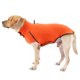 thumbnail image 1 of Suéter para perros Chaleco de lana Cuello alto Invierno Cálidos jerseys para perros pequeño Abanopi Suéter de lana, 1 of 7