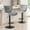 Gray, variant on EDX Bar Stools Set of 2, Modern Adjustable Armless Swivel Counter Stools with PU Leather, Gray