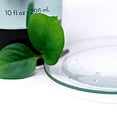 thumbnail image 2 of Vitabath Cool Gel Douche Menthe Verte et Thym, 2 of 3
