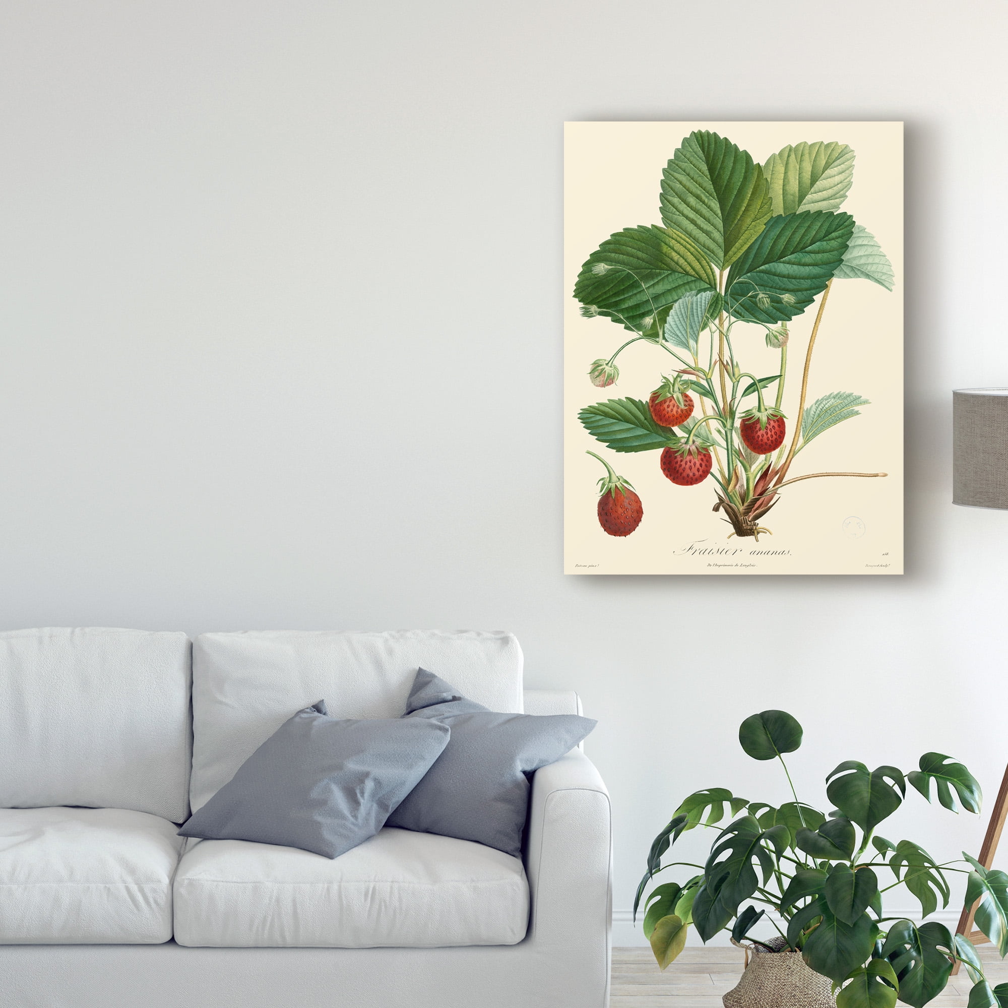Trademark Fine Art 'Bessa Strawberries' Canvas Art by Pancrace Bessa