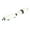 Gray, variant on Cheers Pet Dog Puppy Cute Fox Shape Latex Doll Bite-resistant Play Squeaky Chew Toy