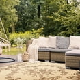 thumbnail image 4 of Safavieh Courtyard Elena Oriental Indoor/Outdoor Area Rug, Natural/Brown, 6'7" x 9'6", 4 of 10