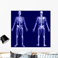 thumbnail image 1 of X-ray Skeleton Blue Wall Mural by Wallmonkeys Peel and Stick Graphic (36 in W x 33 in H) WM171745, 1 of 4