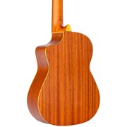 RQC25 Requinto Guitar