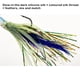 thumbnail image 4 of Greeniant Señuelo falso con forma de pulpo luminoso, cebo de pescado reutilizable portátil, anzuelo de manivela ligero y duradero, accesorios de pesca Pescar 5 uds traje Embalaje en caja Greeniant OD029636-06B, 4 of 6