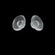 thumbnail image 2 of 25 Pairs Pads Slip Eyeglass NosePad For Eyeglasses Eyewear Glasses Accessories, 2 of 9