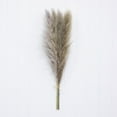 thumbnail image 6 of Mainstays 47"H Tall Decorative Natural Beige Pampas Grass, 6 of 8