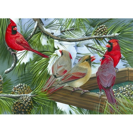 Outset Media 275 Piece Cardinals at The Feeder Puzzle