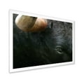 thumbnail image 2 of Designart 'Close-Up Of Eye Fighting Bull Head ' Farmhouse Framed Art Print, 2 of 4