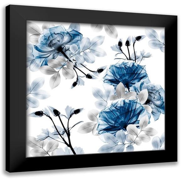 Koetsier, Albert 12x12 Black Modern Framed Museum Art Print Titled - Indigo Bouquets 1