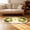 Green, variant on Fareti Imitation Cashmere Cute Clear Flower Carpet, Fluffy and Soft Rug for Bedroom Bedside, Light Luxury Living Room Decorative Carpet, Non-Slip Mat for Hallway, Study, and Cloakroom