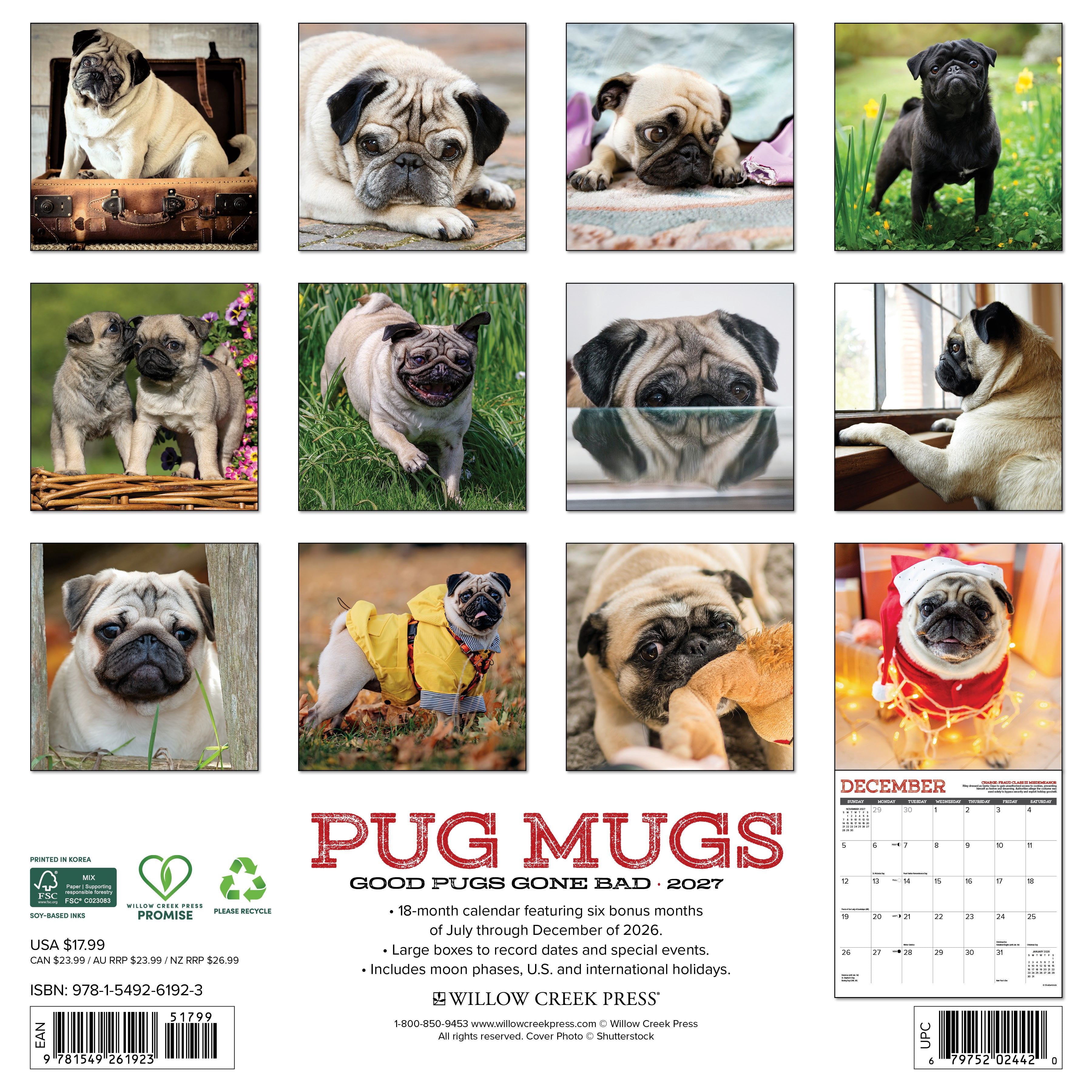 Willow Creek Press, Pug Mugs 2027 Wall Calendar