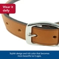 thumbnail image 4 of Collar para perro Coastal Circle T de piel curtida roble 2,5x61 cm, 4 of 7