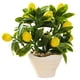 thumbnail image 1 of Bonsái de frutas, flores falsas, decoraciones artificiales creativas para el hogar, simulación de plantas verdes, 1 of 6