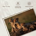 thumbnail image 6 of Elephant Stock Safari Cheetah Family Wall Art - Horizontal Canvas Wall Art - Living Room Wall Decor - Animal Canvas - Green And Brown Decor - 12" x 8", 6 of 8