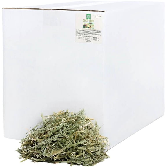 Small Pet Select Oat Hay Pet Food, Delightful Treat for Rabbits, Guinea Pigs and Other Small Animals, Easy to Store Box, Food Additive for Picky Eaters, 40 LB