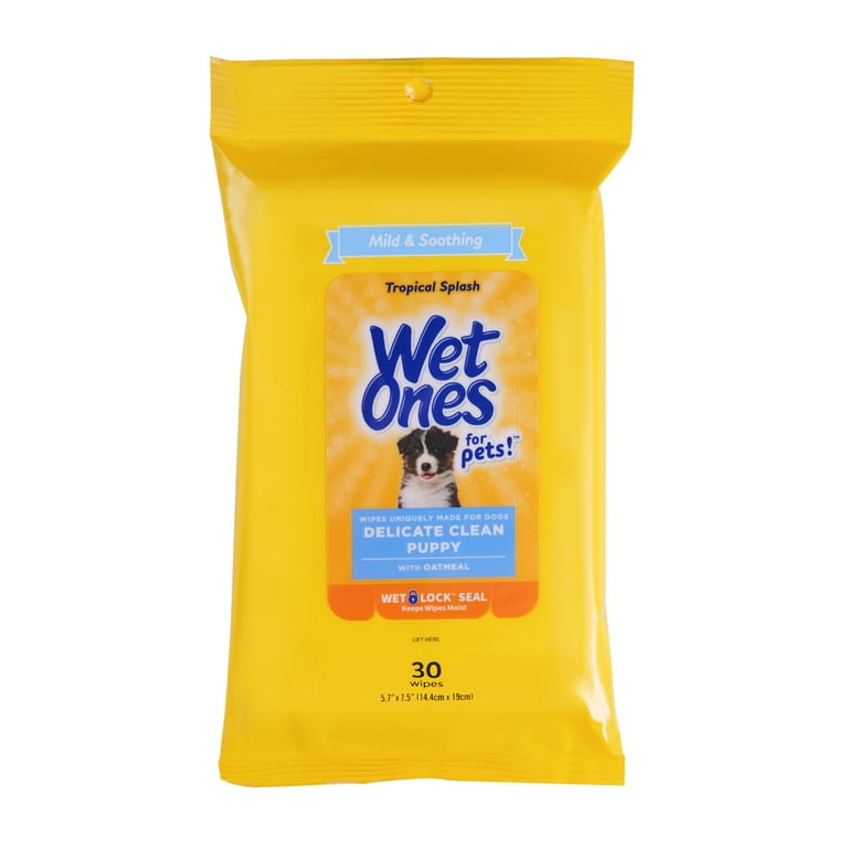 Antibacterial wipes top for dogs walmart