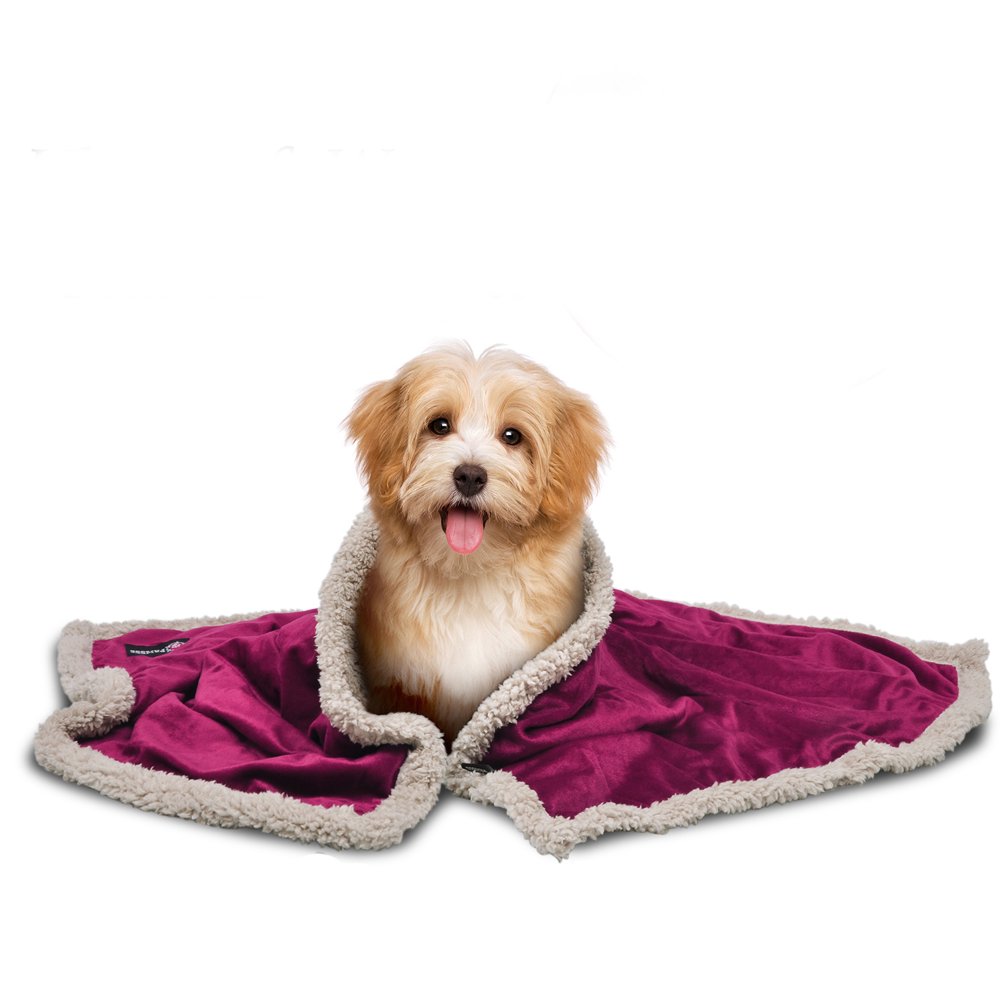 Pawsse Sherpa Puppy Blanket for Small Dogs Kitten, Warm Flannel Plush