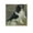 Unframe-style, variant on Pierre Auguste Renoir Tama The Japanese Dog Picture Print Canvas Poster Wall Paint Art Posters Decor Modern Home Artworks Gift 16x16inch(40x40cm)