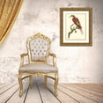 thumbnail image 3 of Nodder, Frederick P. 25x32 Gold Ornate Wood Framed with Double Matting Museum Art Print Titled - Crimson Birds IV, 3 of 4