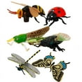 thumbnail image 2 of 6pcs Plastic Insects Lady Bugs Butterfly Display Dragonfly Animals Model Early Educational Toy For Kids New, 2 of 4