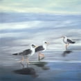 thumbnail image 2 of Atelier B Art Studio 12x12 Black Ornate Wood Framed with Double Matting Museum Art Print Titled - THREE GULLS, 2 of 4