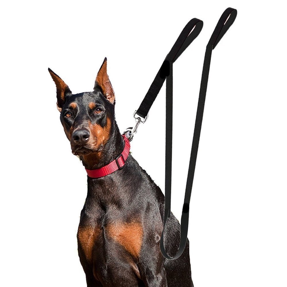 long leash for large dog