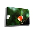 thumbnail image 2 of Epic Graffiti 'Fungus 2' by Dana Brett Munach, Canvas Wall Art, 18"x12", 2 of 8
