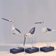 thumbnail image 4 of 3 piezas gaviota CUTICAT Adorno de concha náutica decorativo de animales moderno estantería de escritorio, 4 of 7