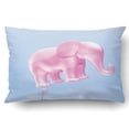 thumbnail image 1 of BSDHOME Elephant Balloon On A Blue Color Pillowcase Pillow Cushion Cover 20x30 inch, 1 of 1