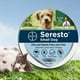 thumbnail image 1 of Collar Repelente Pulgas Y Garrapatas para para Cachorro Gato (perro Pequeño 38cm/Nueva América), 1 of 10
