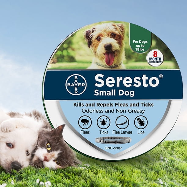 Collar Repelente Pulgas Y Garrapatas para para Cachorro Gato (perro Pequeño 38cm/Nueva América)