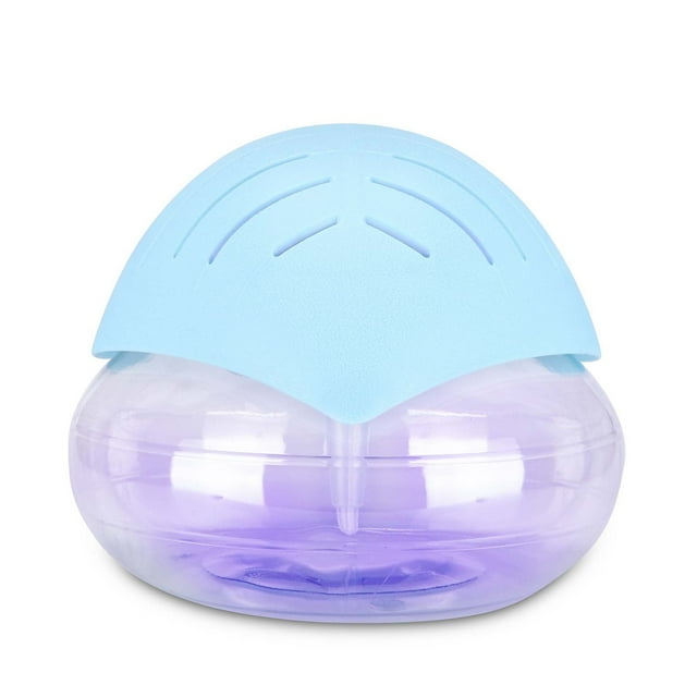 Votre Solution Intérieure Ultime Purificateur Brethe Propre à Tout Moment n'Importe Où