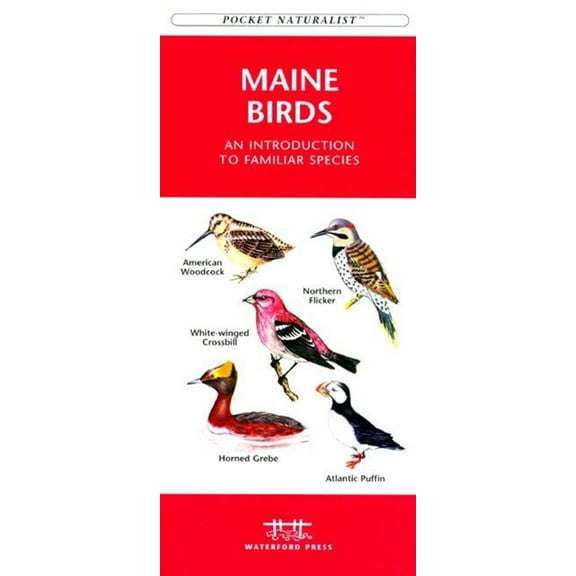 Pocket Naturalist Guides: Maryland & DC Birds: A Folding Pocket Guide to Familiar Species (Other)