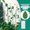 wall adhesive, variant on 10Pcs Leaf-Shaped Plant Climbing Wall Clips High Viscosity Adhesive Fixer, Plant Wall Clips for Indoor Plants & Outdoor Vines with Peel and Stick No-Tool Setup, Space Saving Durable Abs Resin