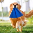thumbnail image 4 of Dog Training Rag for Interactive Play and Prey Drive Development High Toughness Leather Tug Toy for Large Breed Puppies, 4 of 4