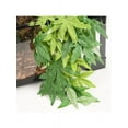 thumbnail image 5 of Outdoor Garden Decor Hanging Artificial Plants Silk Ivy Vine Fake Faux Plastic, 5 of 7