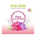 thumbnail image 4 of Desodorante antitranspirante Garnier Obao ritual natural fresia en roll on para dama 65 g, 4 of 4