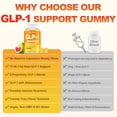 thumbnail image 4 of Suplemento GLP-1 Berberina, Gomitas probióticas GLP 1 para mujeres y hombres | Activa GLP-1 y AMPK| con probiótico Akkermansia, berberina natural para la digestión y el intestino, energía, sin azúcar, 4 of 5