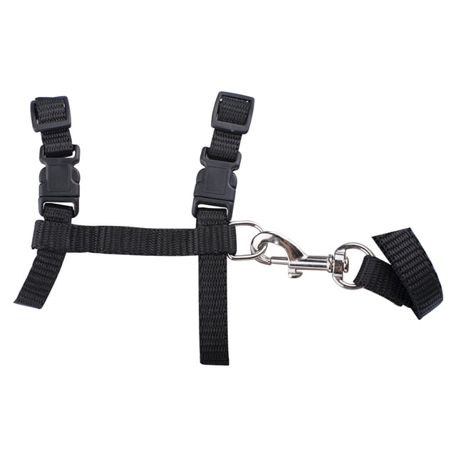 Arnés para gatos, collar ajustable de nailon con correa, arnés de seguridad con sistema de liberación rápida para gatos pequeños, perros y mascotas para paseos al aire libre, color negro.